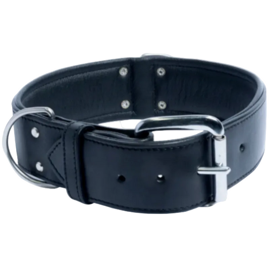 Angel - Dallas Leather Collar: Black