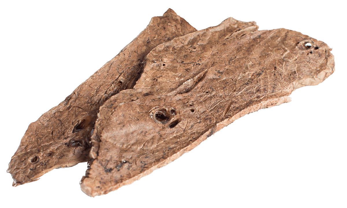 Beef Lung - 100g