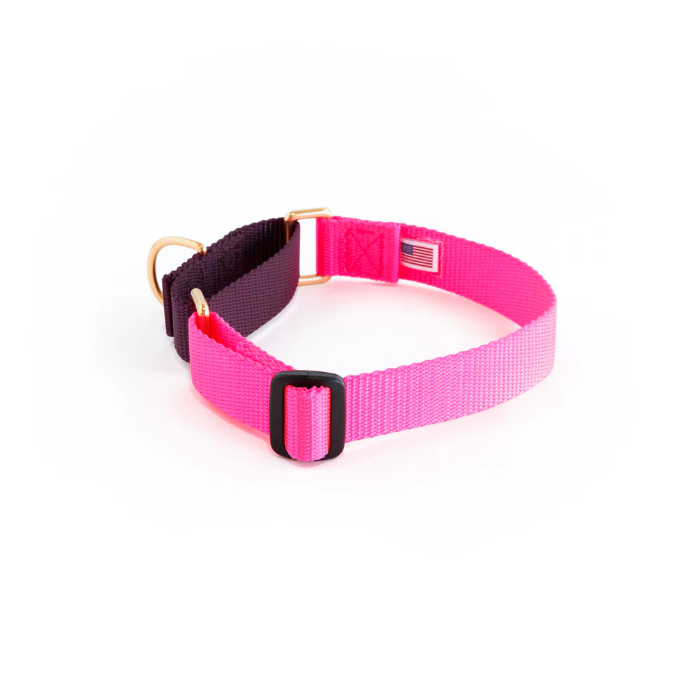 Martingale Collar - Hot Pink + Purple