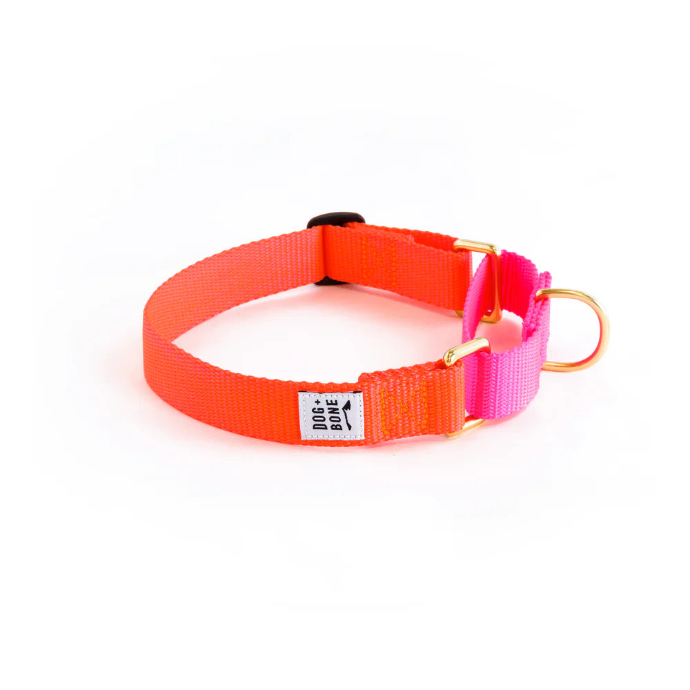 Martingale Collar - Lava + Hot Pink