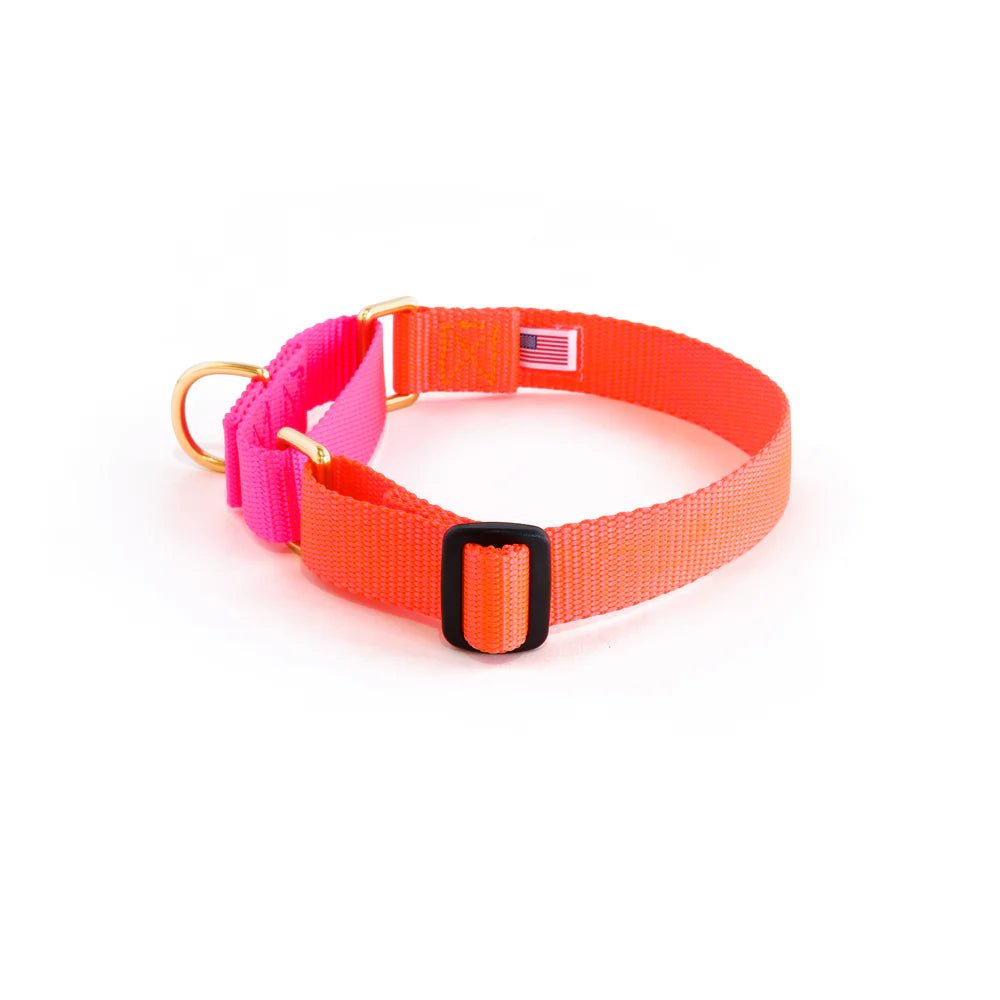 Martingale Collar - Lava + Hot Pink