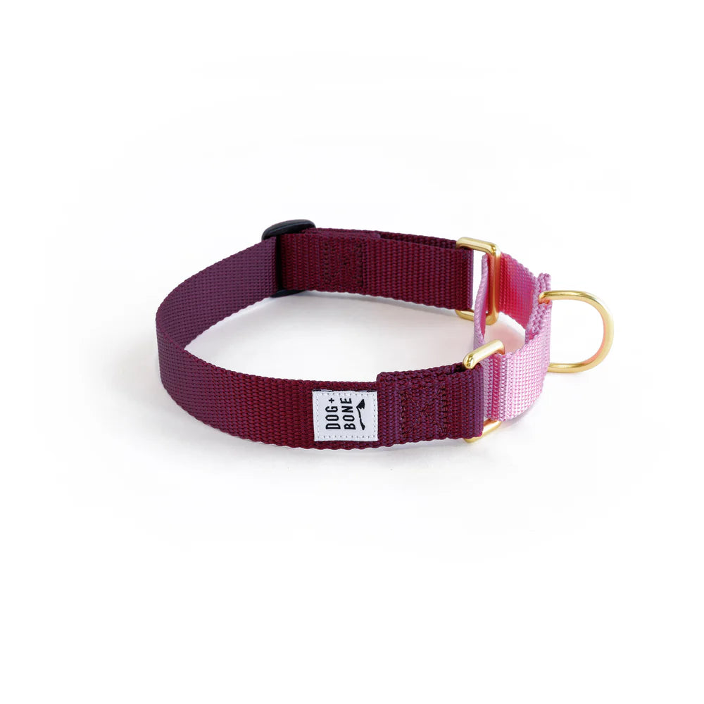 Martingale Collar - Purple + Orchid