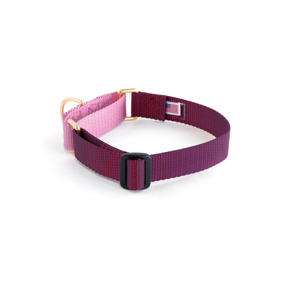 Martingale Collar - Purple + Orchid