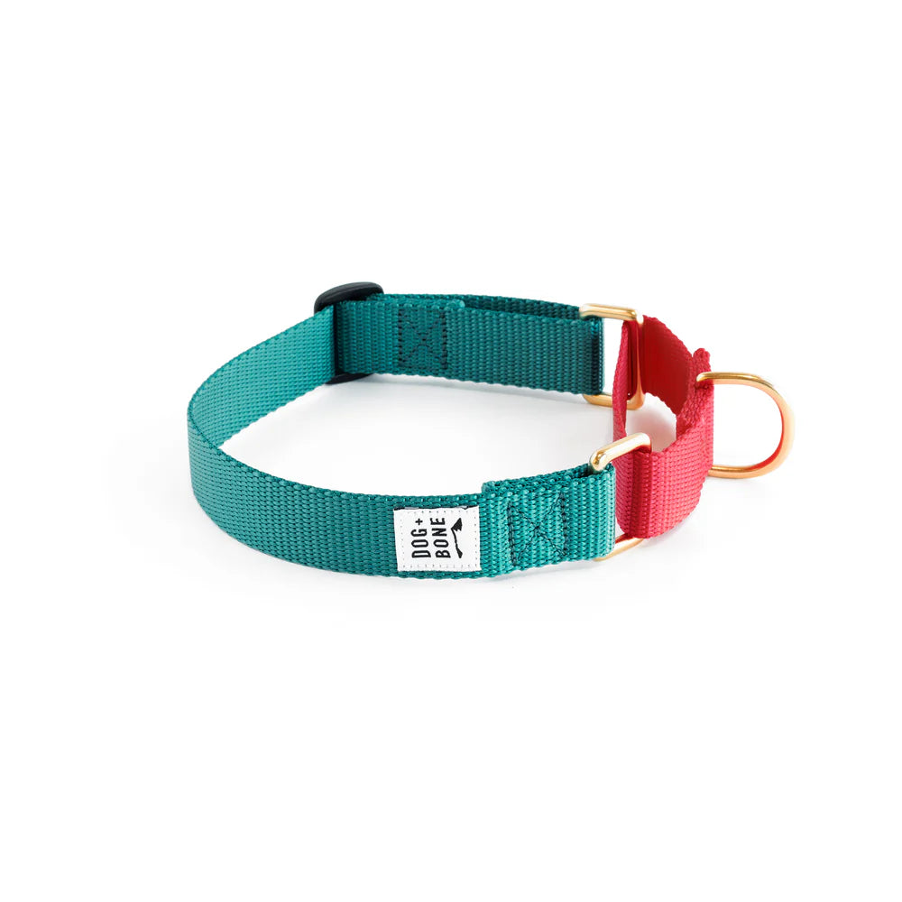 Martingale Collar - Teal + Punch