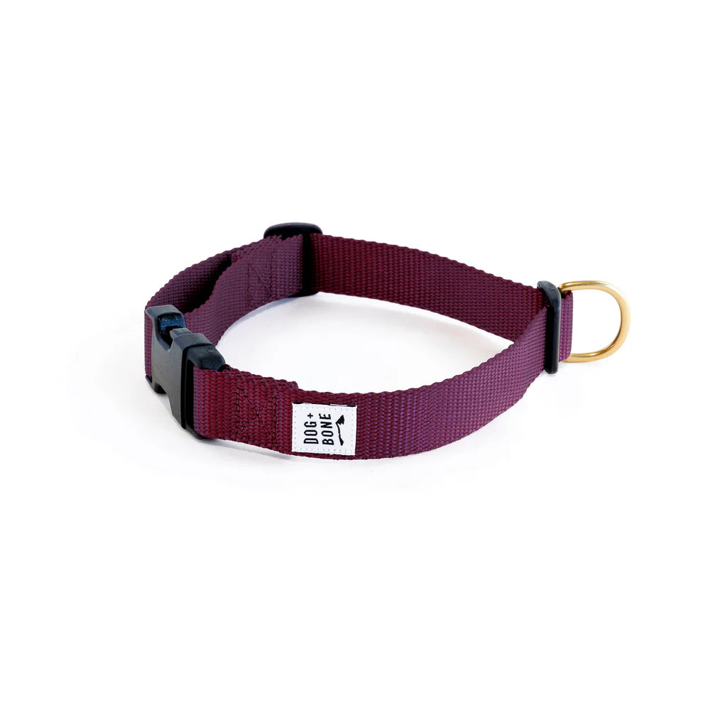 Snap Collar - Purple