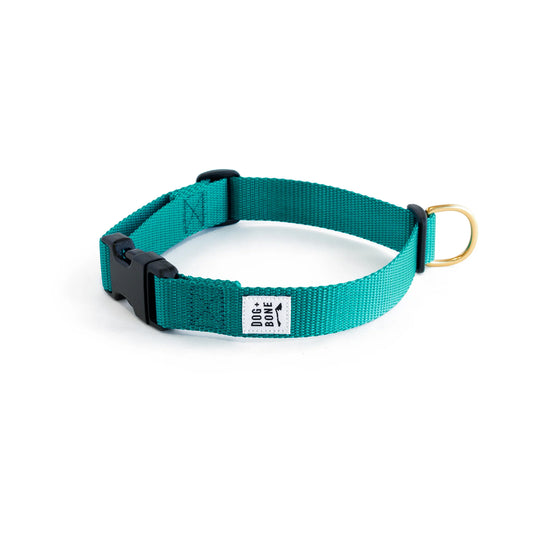 Snap Collar - Teal