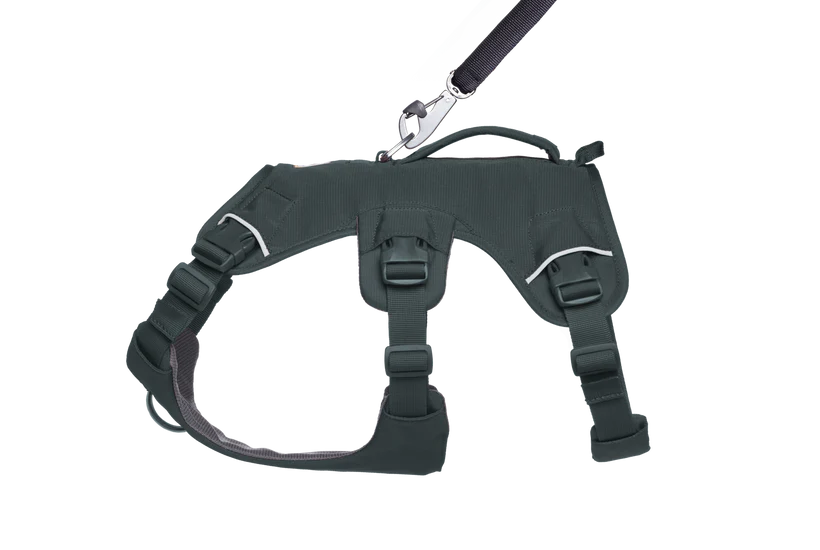 Web Master - Basalt Grey