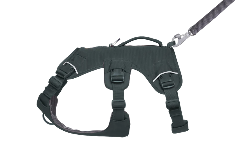 Web Master - Basalt Grey