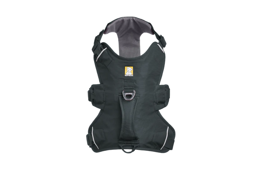 Web Master - Basalt Grey