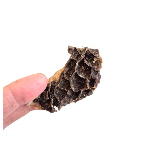 Green Beef Tripe - 100g