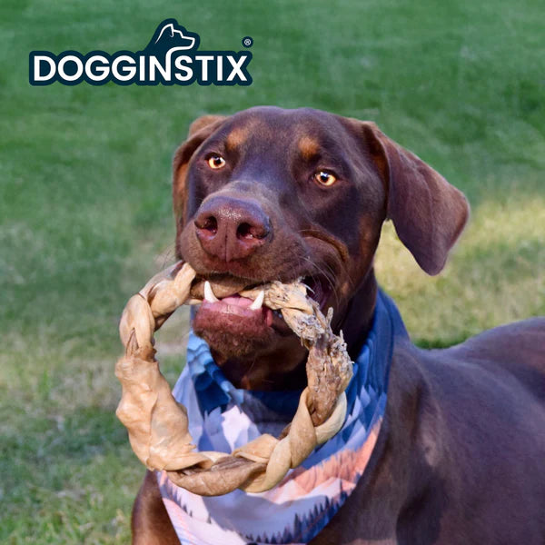 DoggInStix - Braided Lamb Collagen Ring - 6.5"