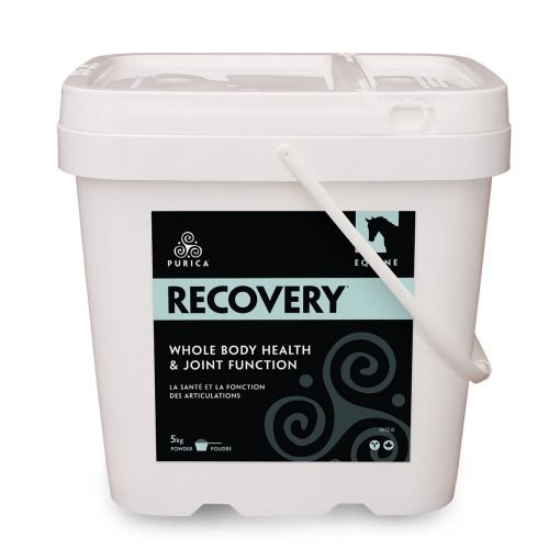 Equine Recovery - 5kg