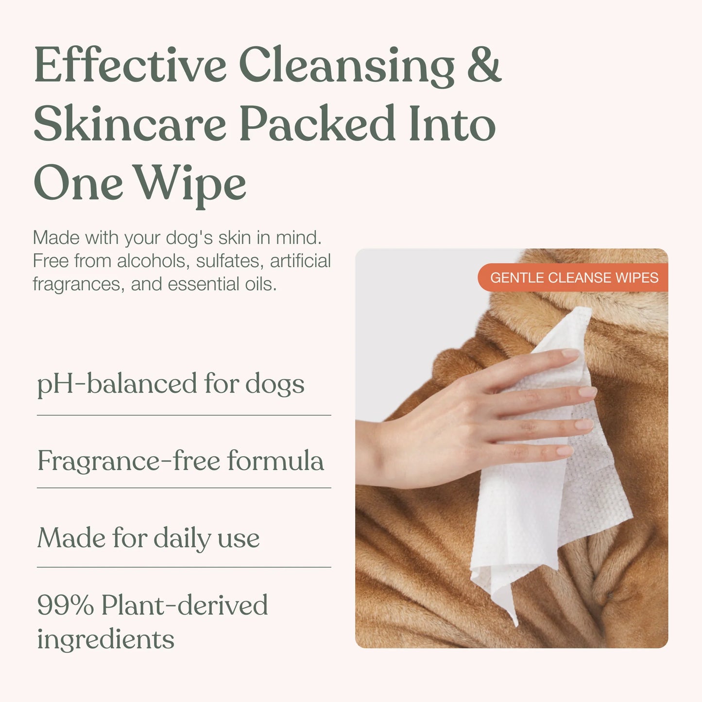 Dandylion - Gentle Cleanse Dog Wipes - 30 Wipes