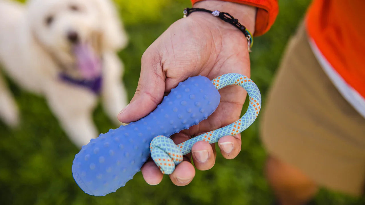 Gourdo™ Rubber Throw Toy