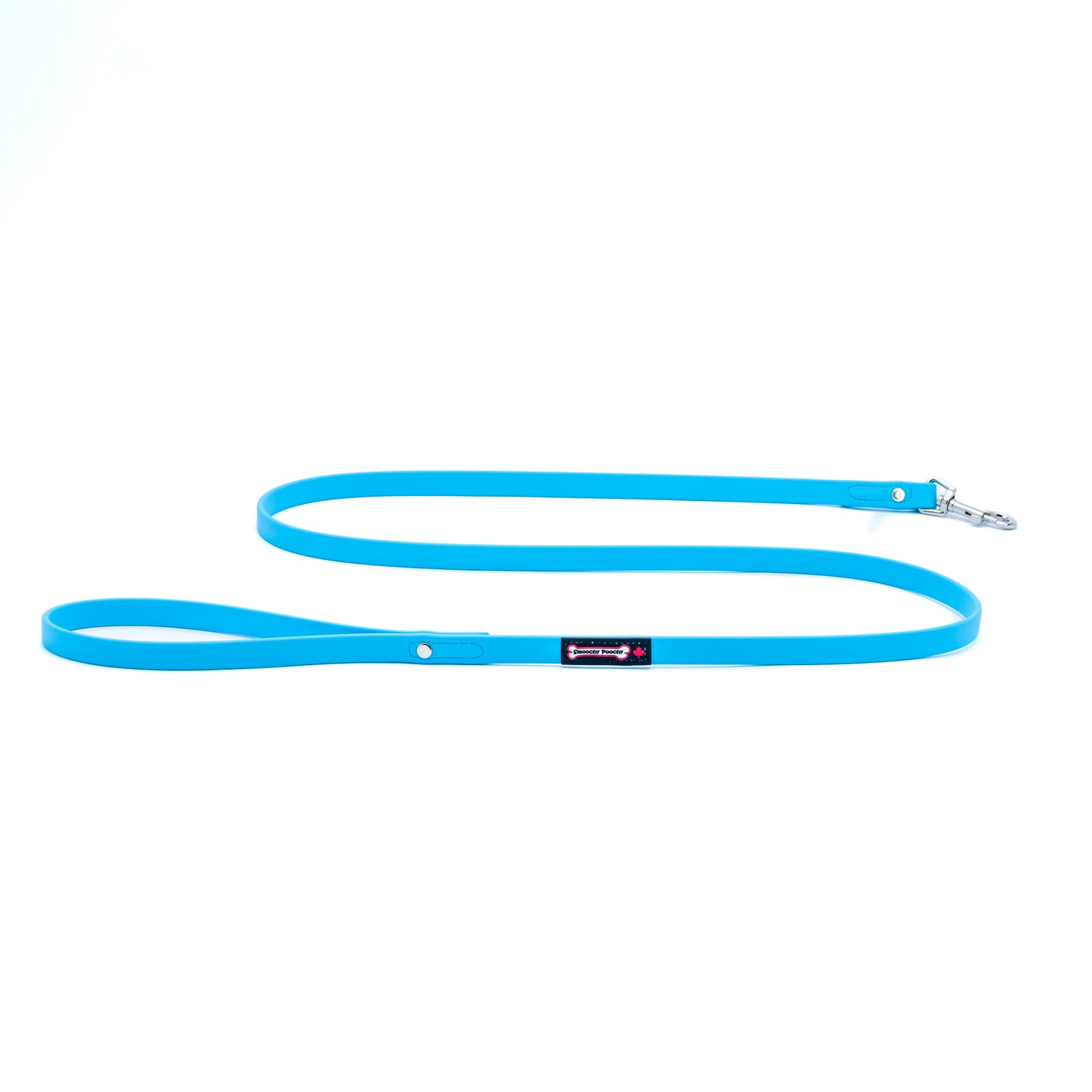 Polyvinyl Leash - Turquoise