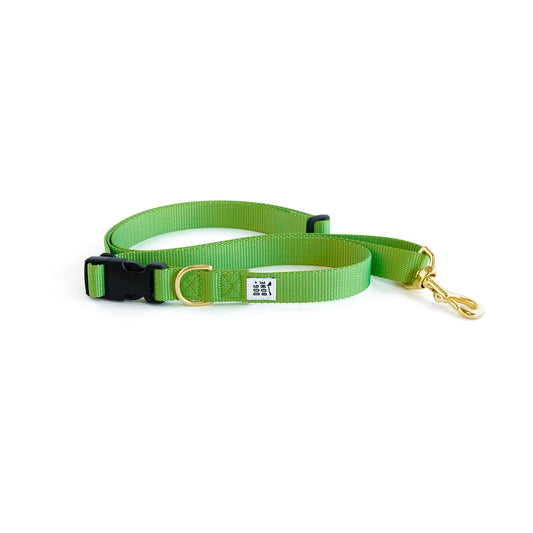 Adjustable Leash - Greenery