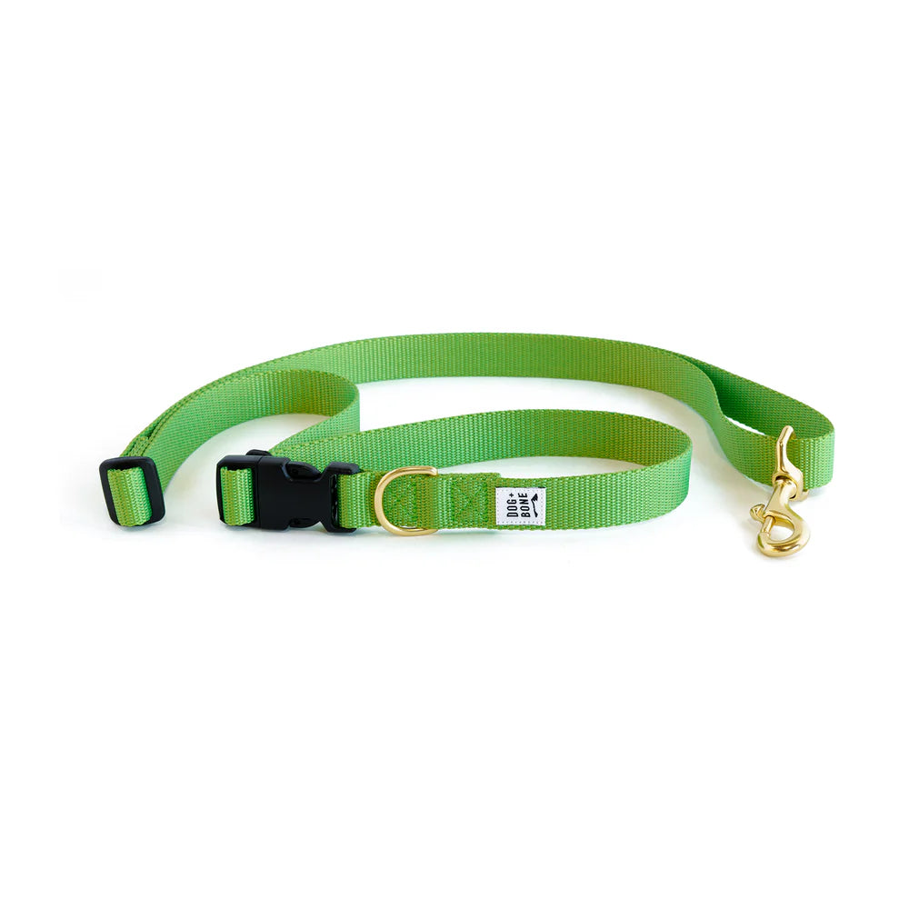 Adjustable Leash - Greenery