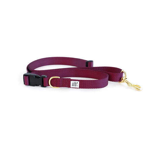 Adjustable Leash - Purple