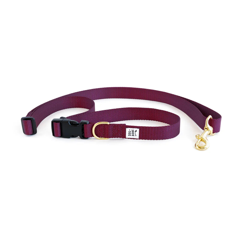 Adjustable Leash - Purple