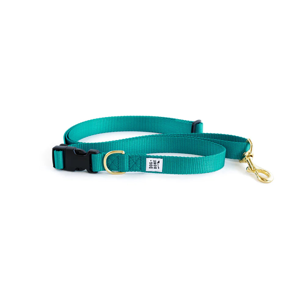 Adjustable Leash - Teal