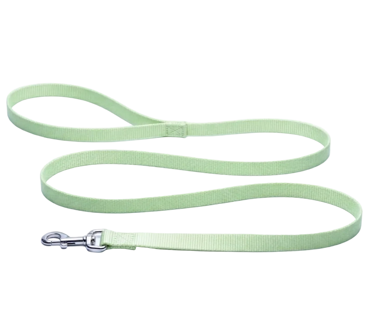 Smoochy Poochy - Standard Nylon Leash - Mint - 5/8" x 6'