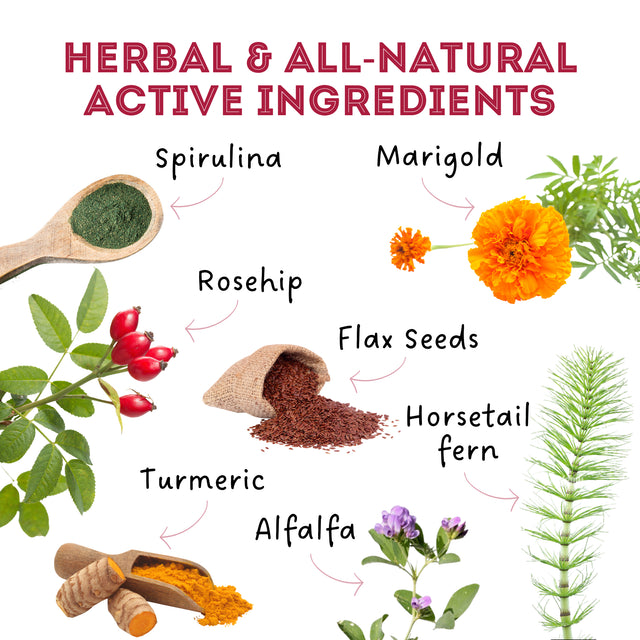 Help, My Joints Are Stiff - Hip & Joint Biscuits