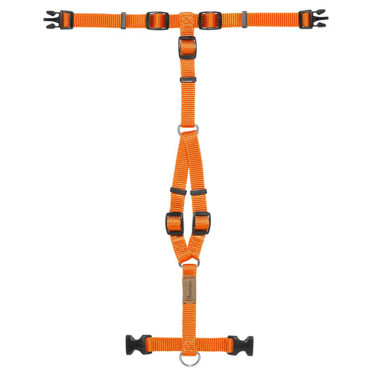 Haqihana Harness - Carrot