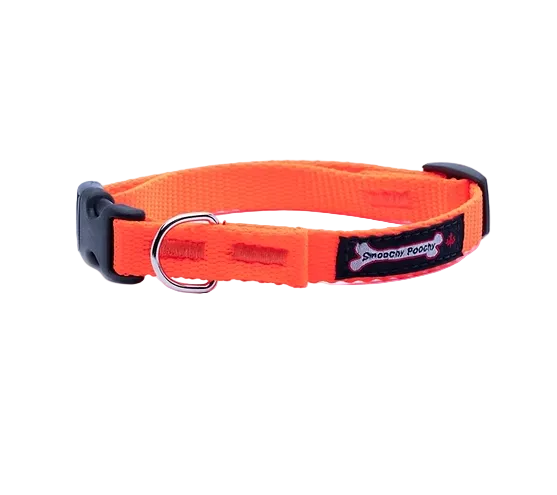 Nylon Clip Collar - Orange