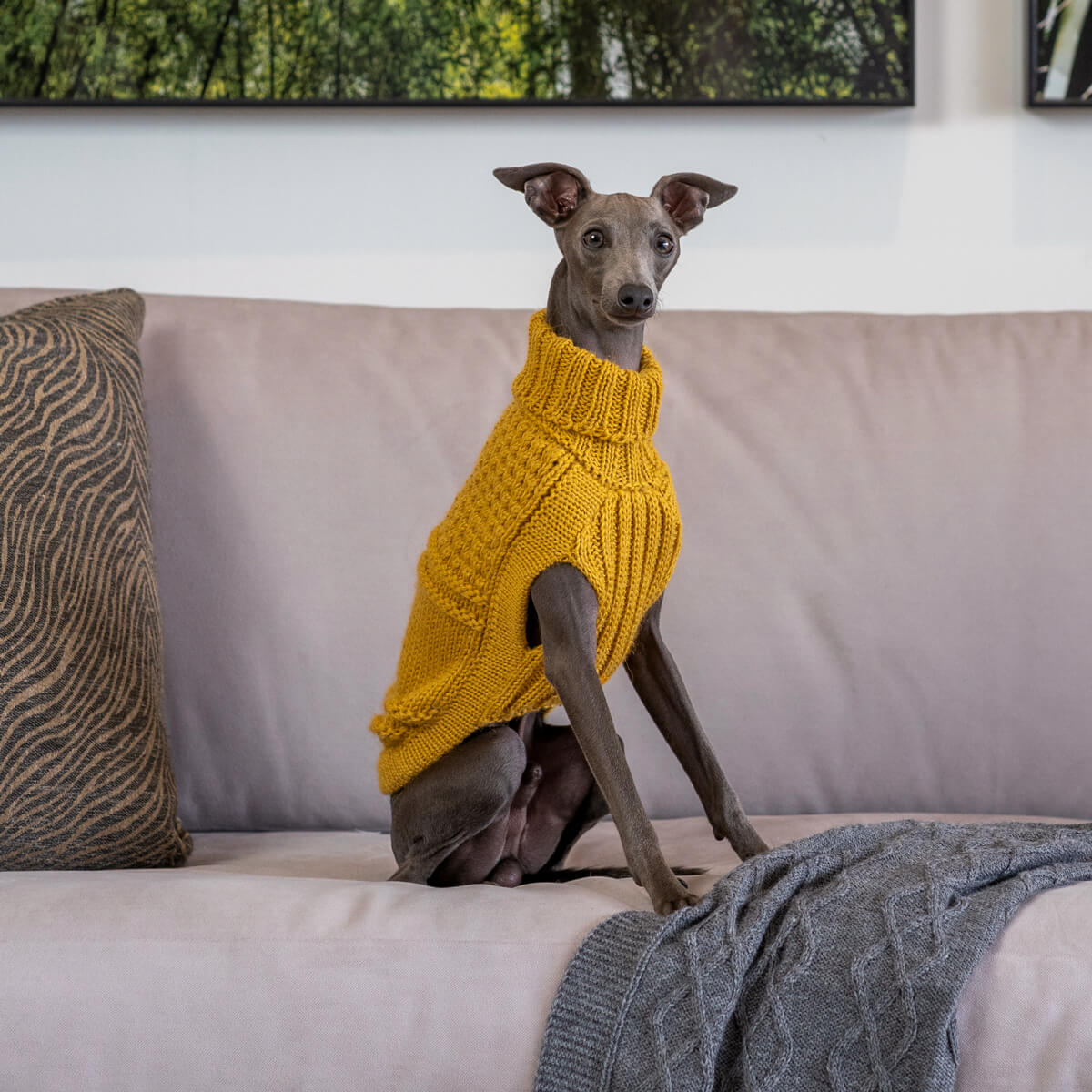 Oscar Mustard Alpaca Sweater