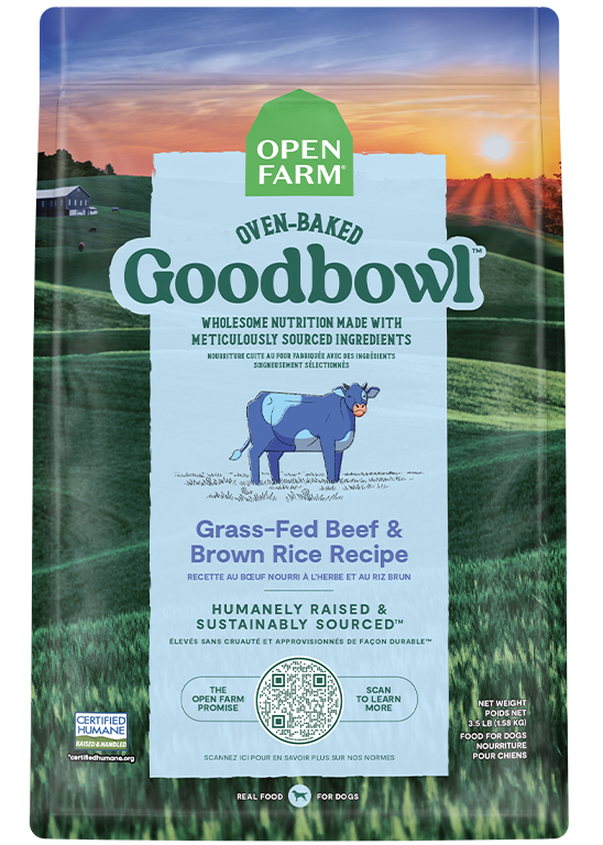 GoodBowl - Beef & Brown Rice