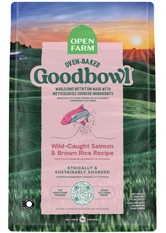 GoodBowl - Salmon & Brown Rice