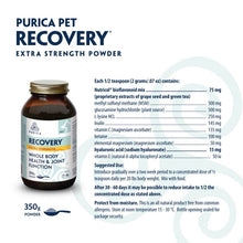 Load image into Gallery viewer, Pet Recovery Extra Strength - 350g Powder
