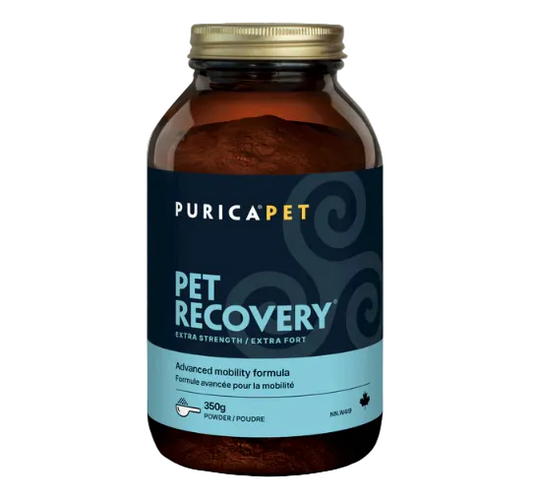 Purica Pet Recovery Extra Strength - Powder