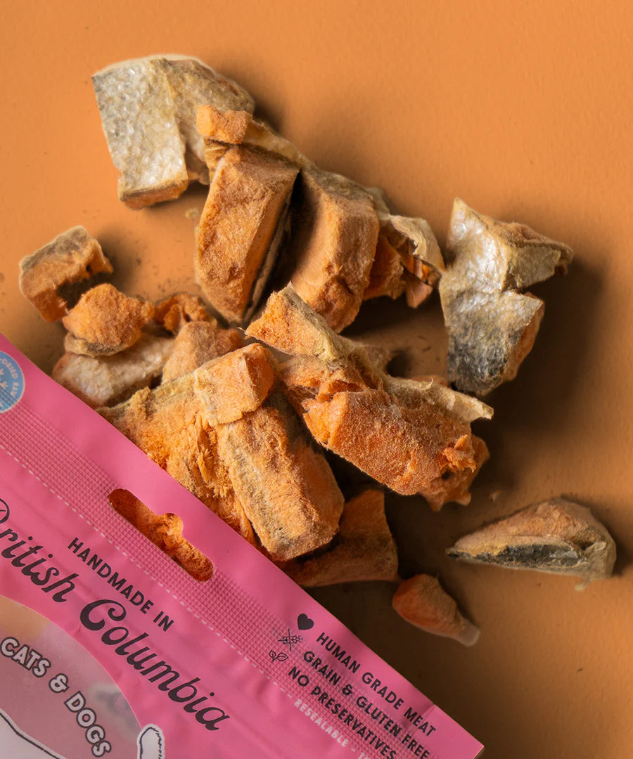 Salmon & Bone Broth Treats