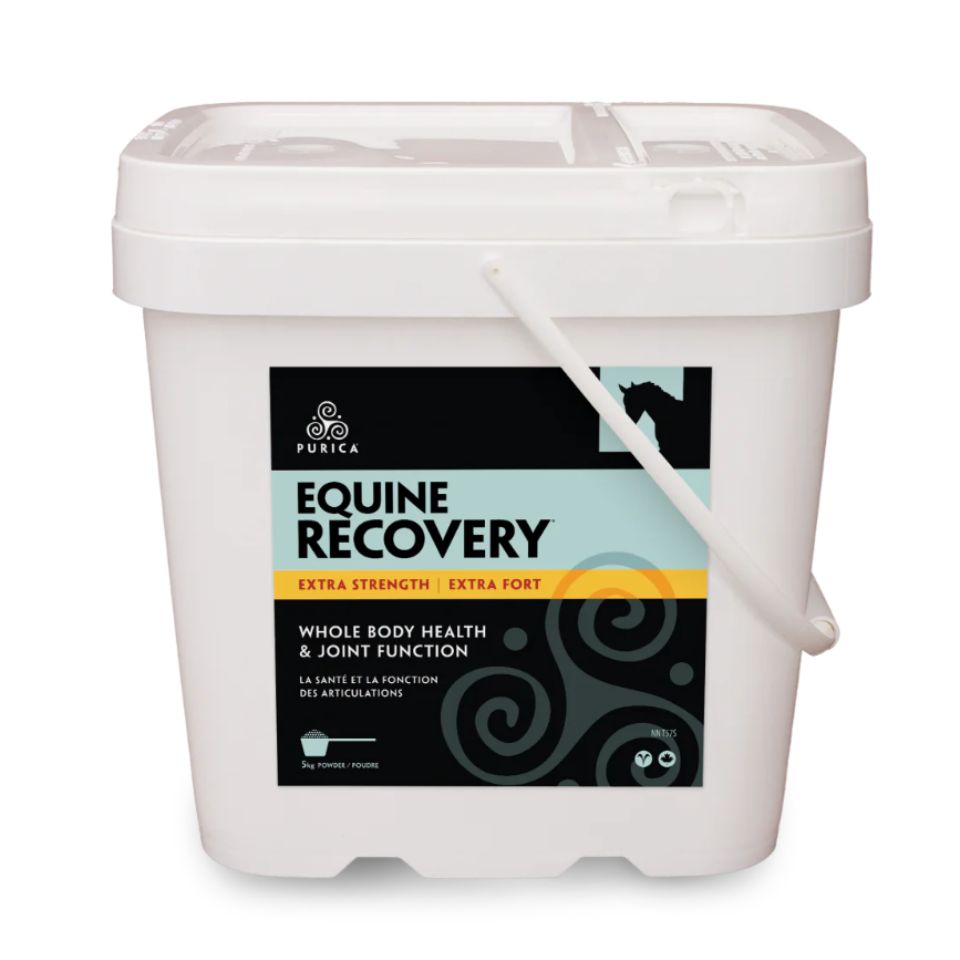 Equine Recovery Extra Strength - 5kg