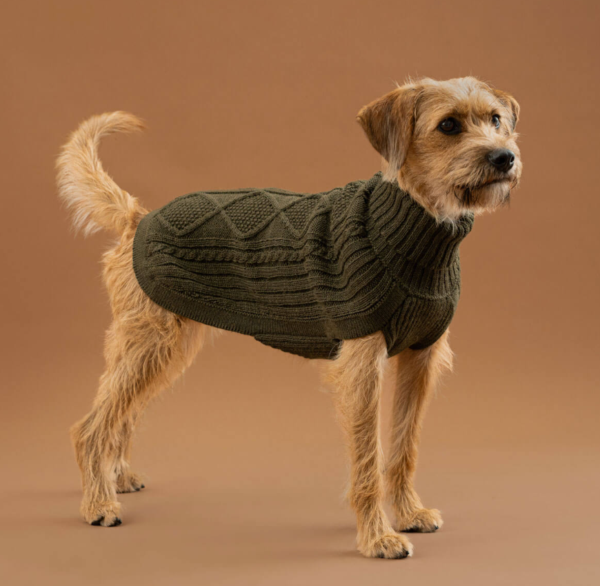 Alqo Wasi - Forest Green Aran Alpaca Sweater