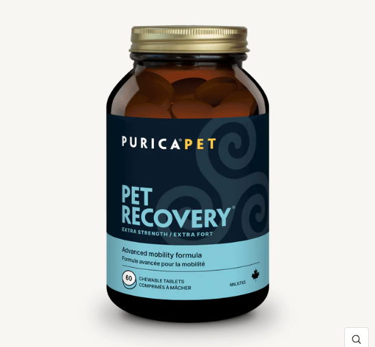 Purica Pet Recovery Extra Strength - Chews