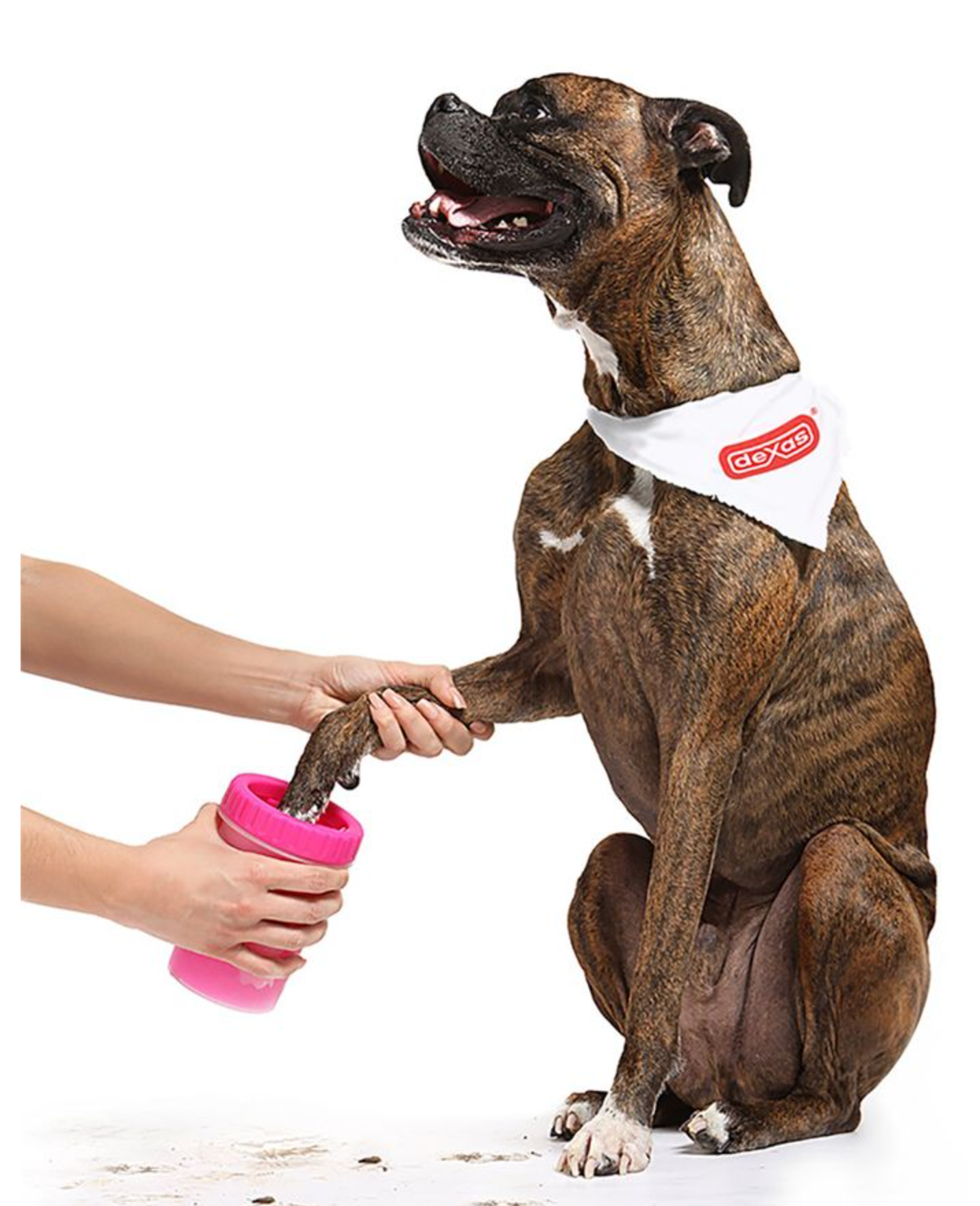 MudBuster Paw Cleaner - Light Grey