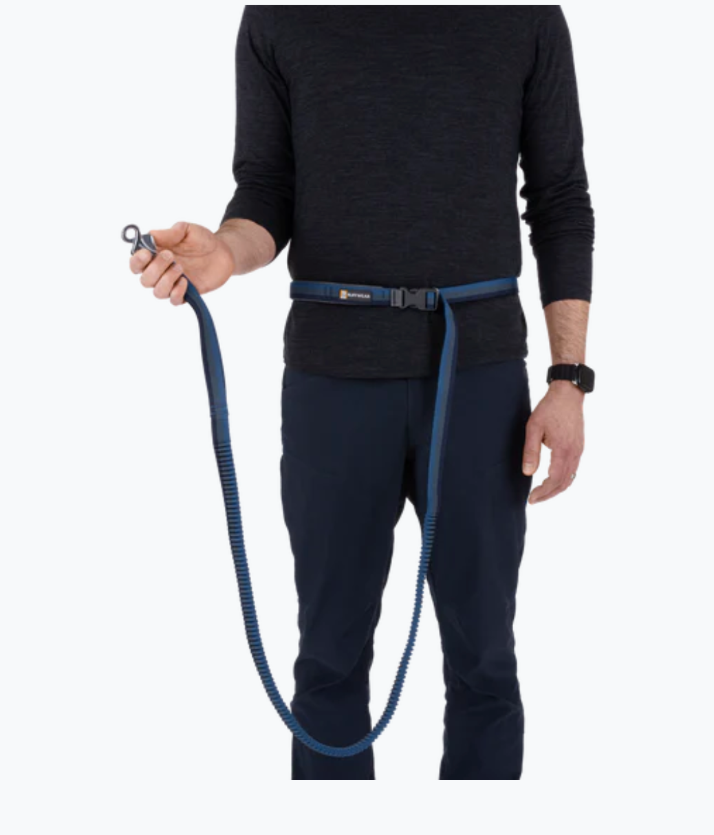 Roamer Leash - Orion Blue