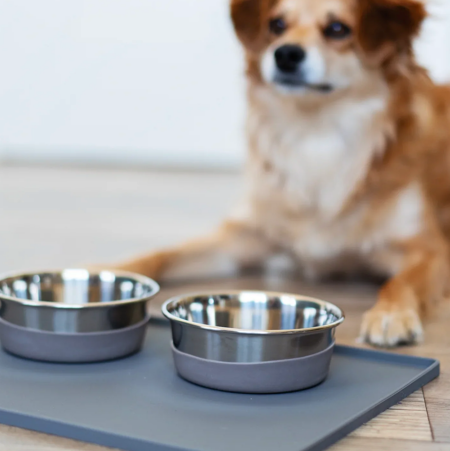 Silicone Non-Slip Pet Bowl Mat with Raised Edge - Cool Grey