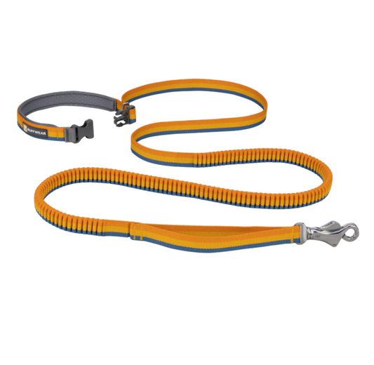 Roamer Leash - Yellow Snow