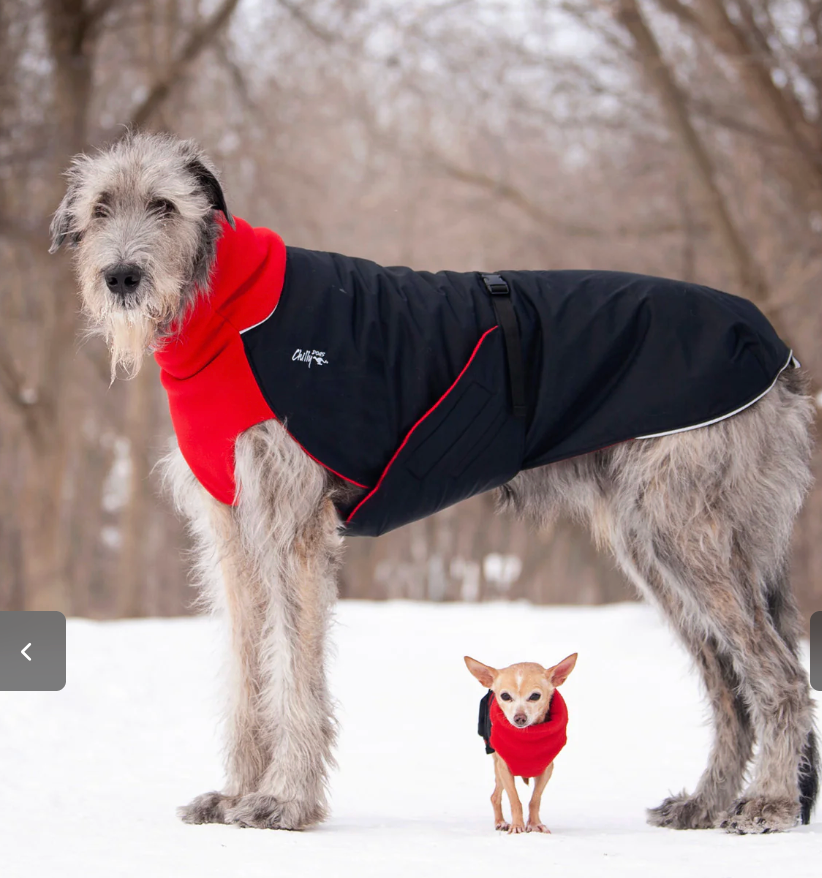Chilly Dogs - Great White North Winter Jacket - Red/Black Shell