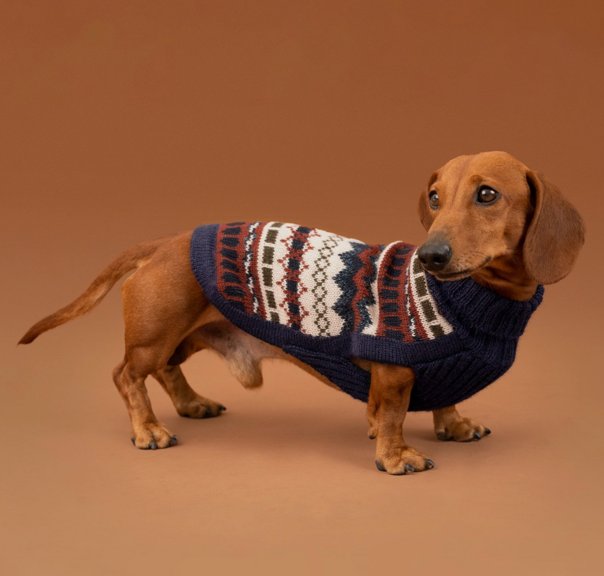 Alqo Wasi - Iceberg Bleu Alpaca Dog Sweater