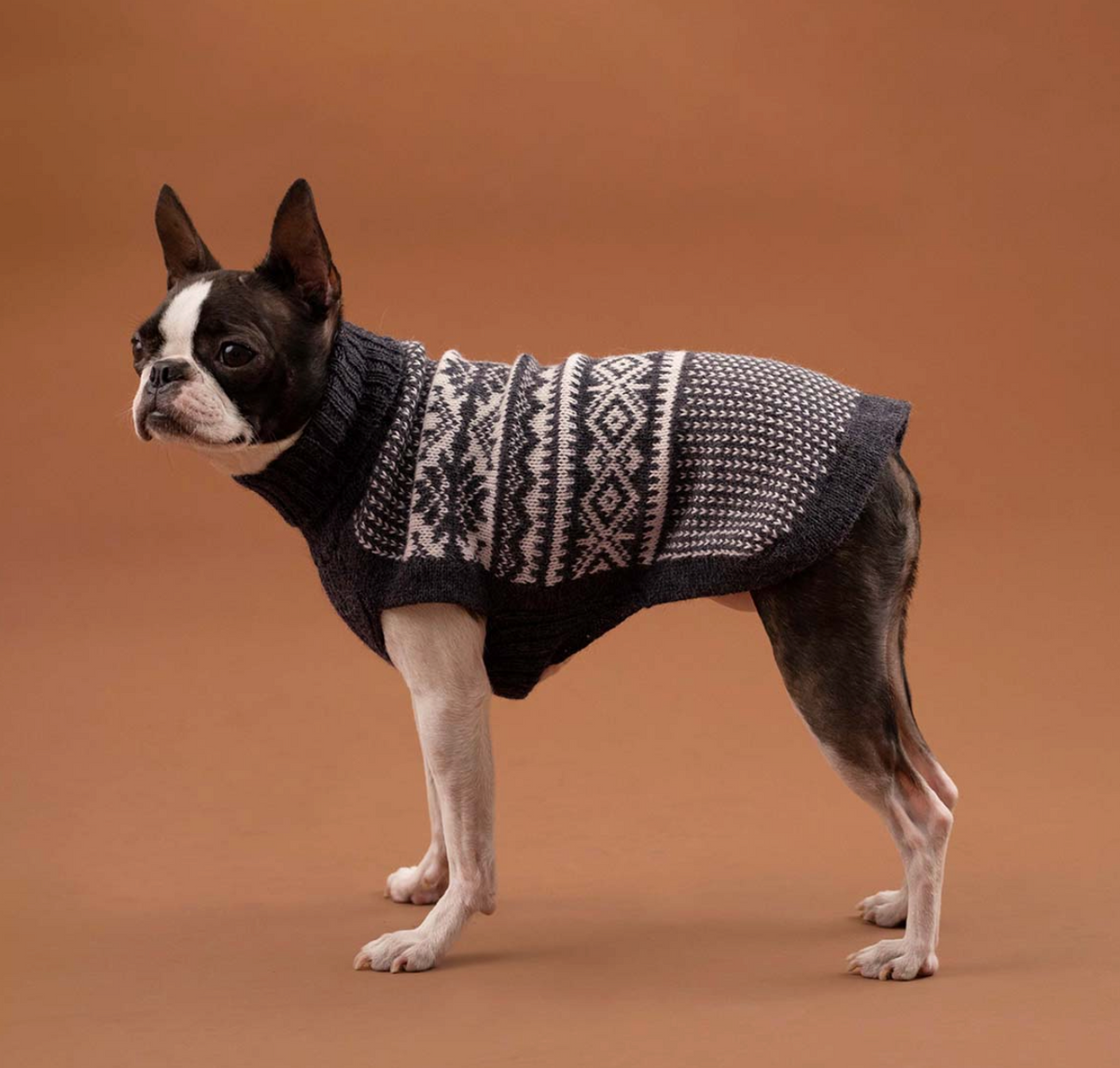 Alqo Wasi - Mountain Grey Alpaca Dog Sweater