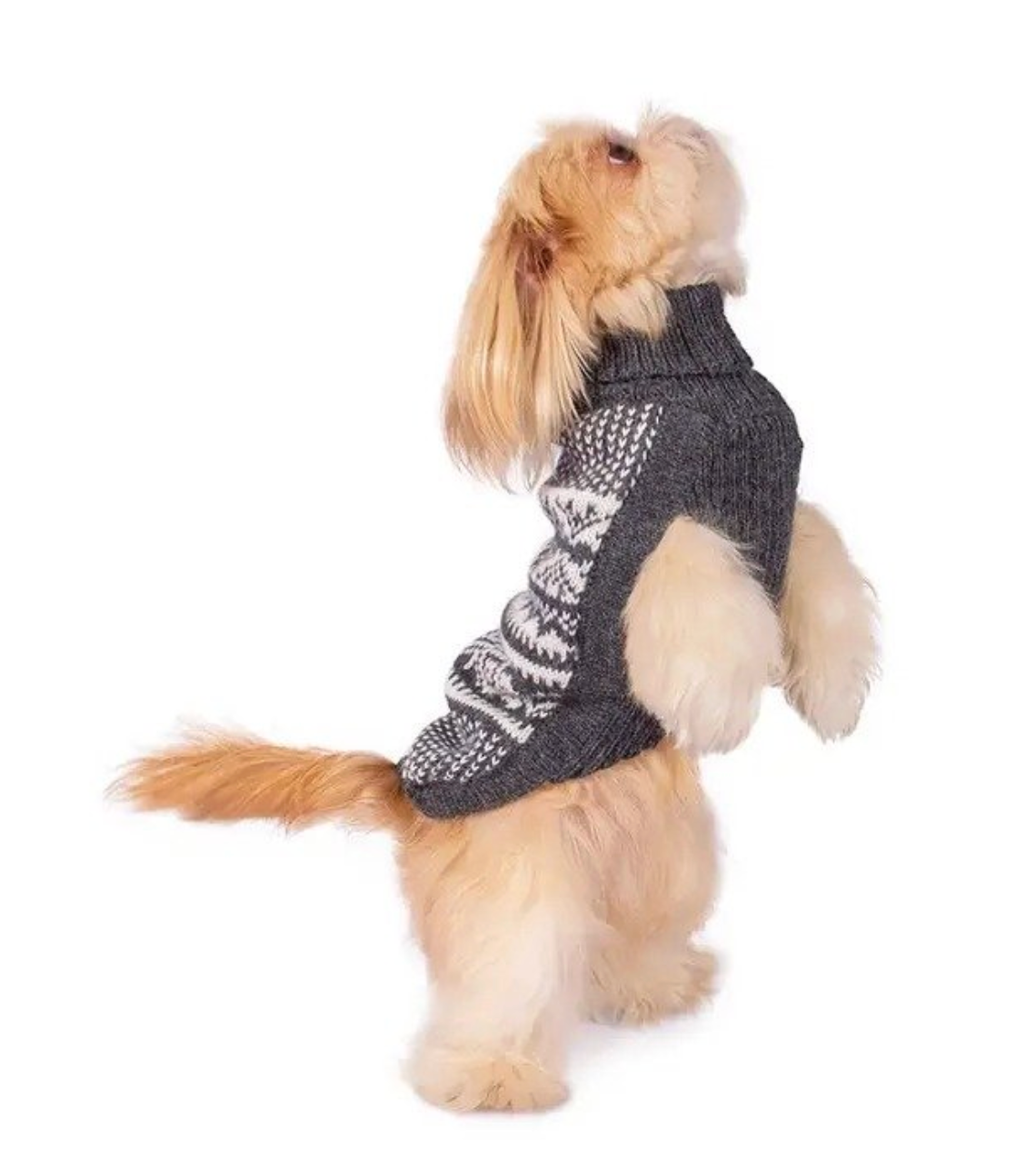 Alqo Wasi - Mountain Grey Alpaca Dog Sweater