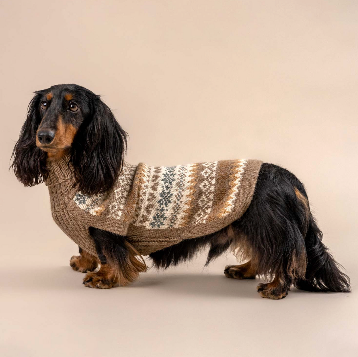 Alqo Wasi - Fall Medley Alpaca Sweater