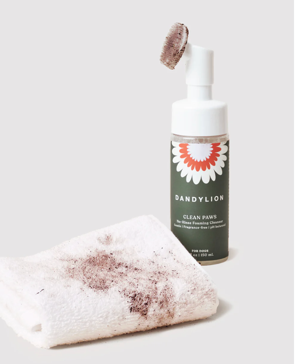 Dandylion - Clean Paws No-Rinse Foaming Cleanser