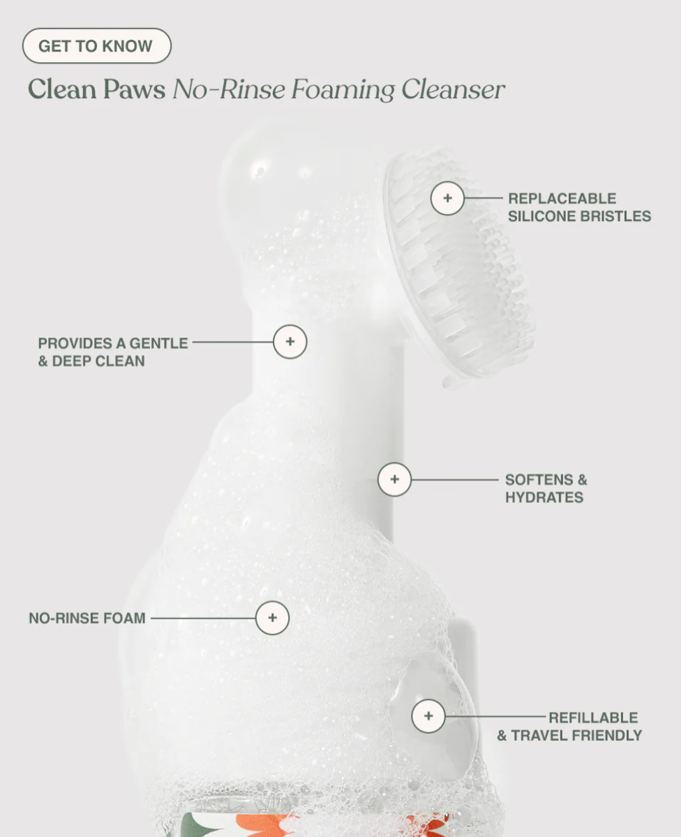 Dandylion - Clean Paws No-Rinse Foaming Cleanser