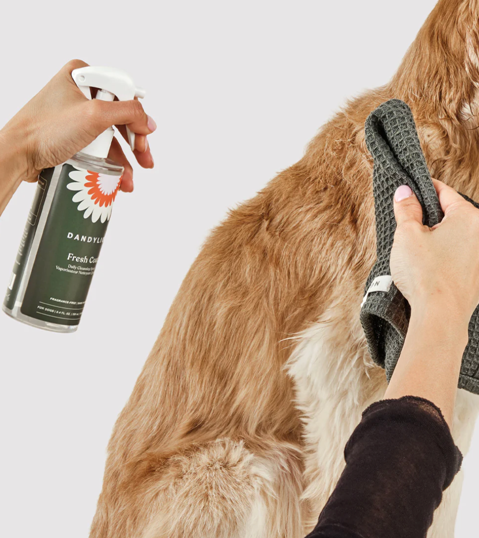 Dandylion - Fresh Coat Daily Cleansing Spray - Waterless No-Rinse Shampoo