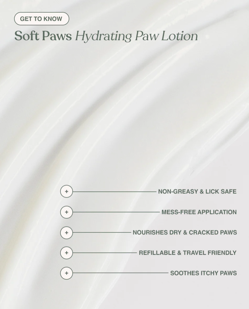 Dandylion - Soft Paws Hydrating Paw Lotion
